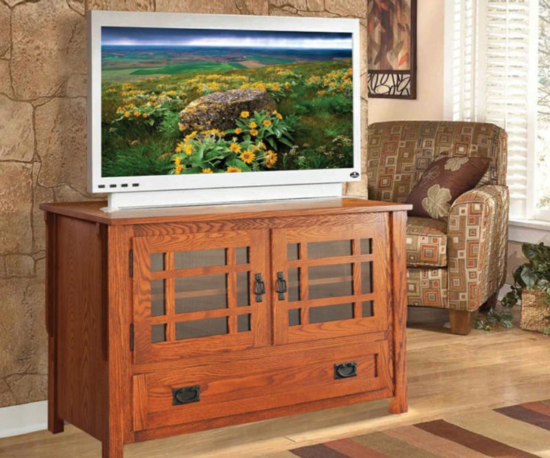 Mission TV Room