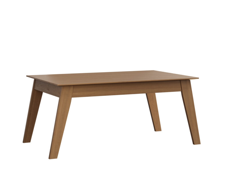 Astro Leg Table